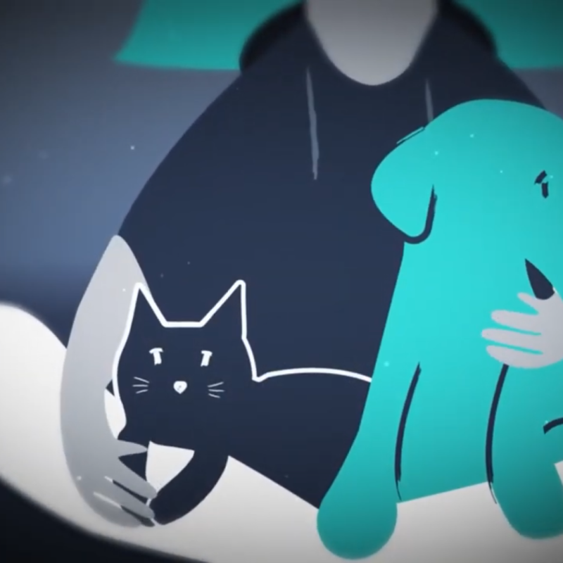 How Animation Can Tell a Charity’s Story